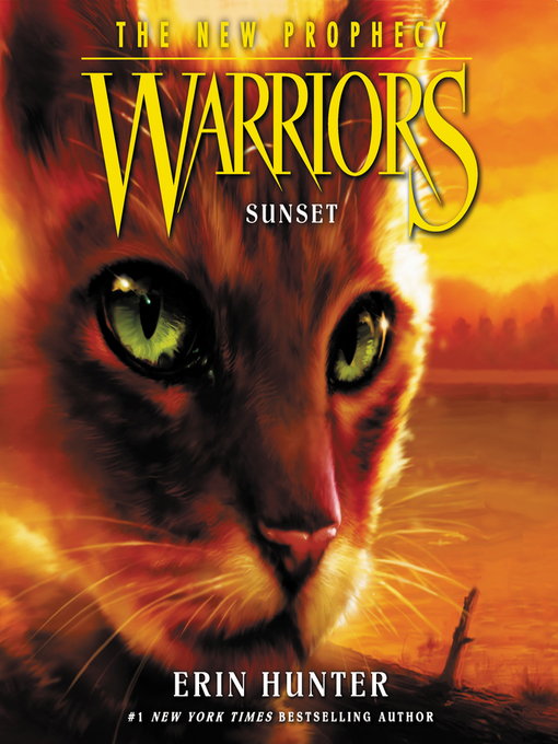 Cover image for Warriors